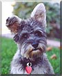 Maggie