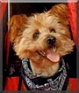 Fido