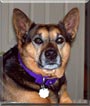 Doc