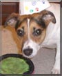 Lucy