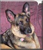 Kaiser