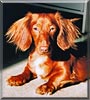 Rusty