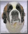 Sampson