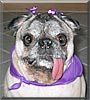 Spanky