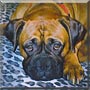 Hooch