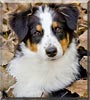 Pixel