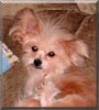 Tallulah
