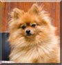 Axle
