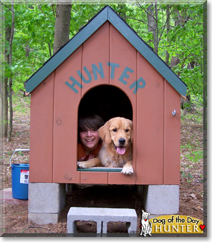 Hunter, the Dog of the Day