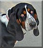 Roscoe