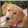 Macie