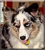 Maggie