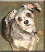 Daisy Mae