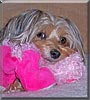 Bailey