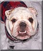 Dozer