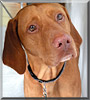 Dexter