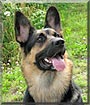 Mya