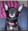 Pixie