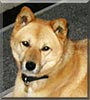Soonee
