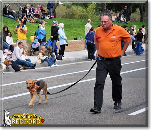 Redford, the Dog of the Day