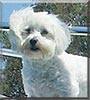 Barklee