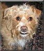 Finnegan