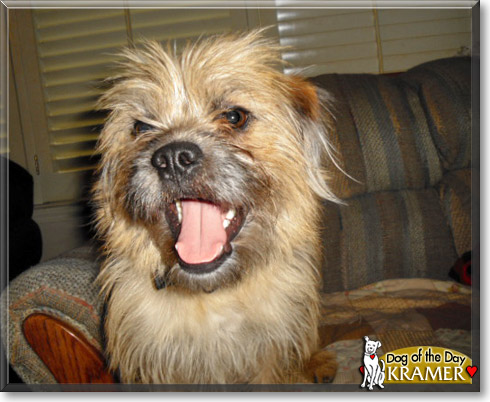 Kramer, the Dog of the Day