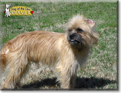 Kramer, the Dog of the Day
