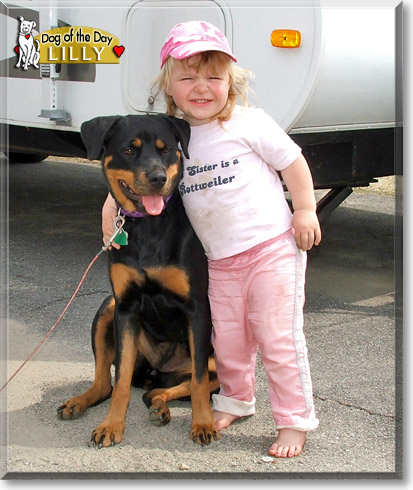 Lilly, the Dog of the Day
