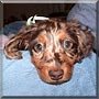Lulu