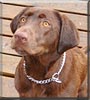 Sydney