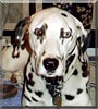 Winston