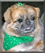Archie