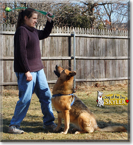 Skyler, the Dog of the Day