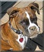 Zeus
