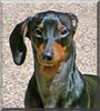 Roxie