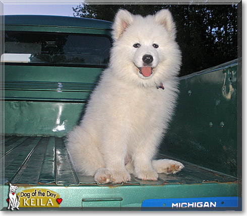 Keila, the Dog of the Day