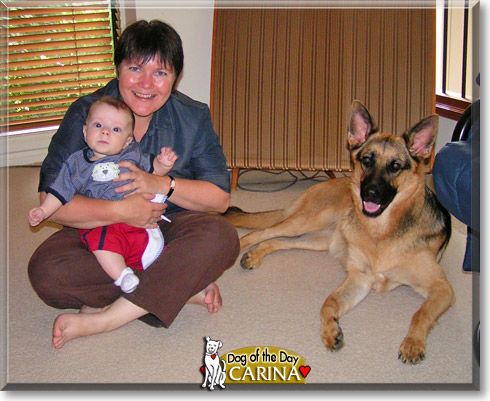 Carina, the Dog of the Day