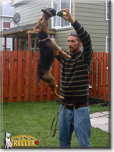 Keller, the Dog of the Day