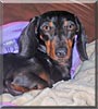 Oscar