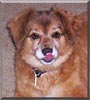 Bailey