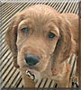 Charlie