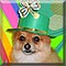 Dog of the Day