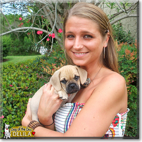 Delila, the Dog of the Day