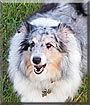 Mali