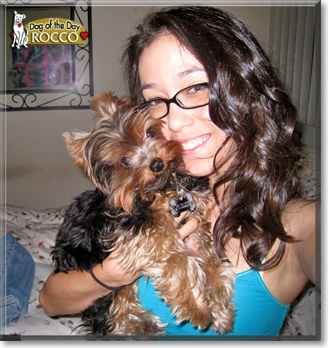 Rocco, the Dog of the Day