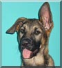 Xena