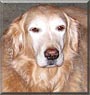 Maggie