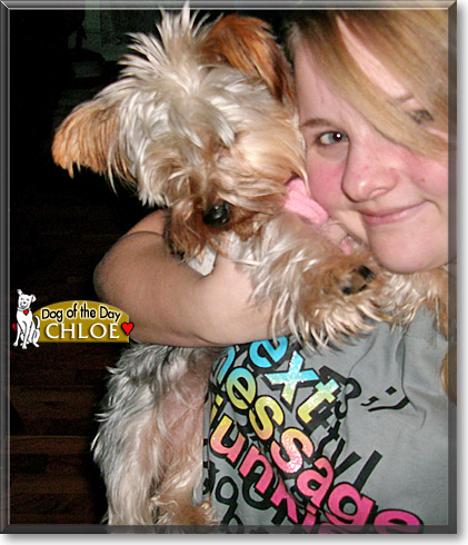 Chloe, the Dog of the Day