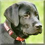 Buster